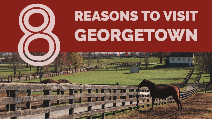 8 Reasons to Visit Georgetown