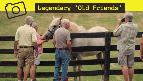 Georgetown Celebrities: Legendary 'Old Friends'