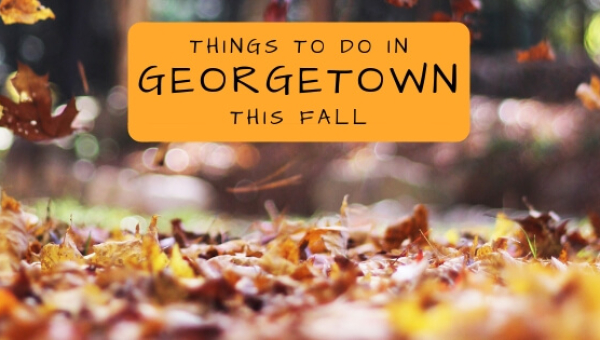 Things to Do In Georgetown This Fall