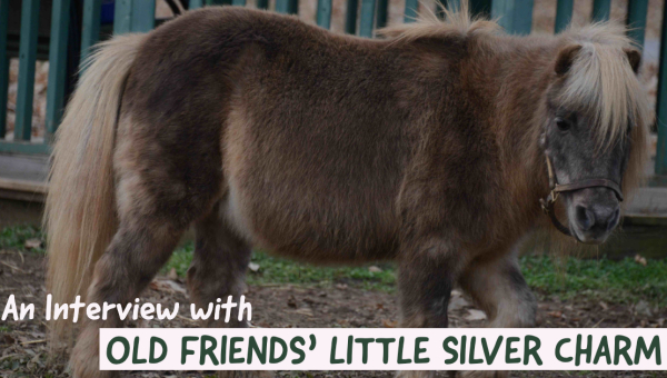 An Interview with Old Friends’ Little Silver Charm