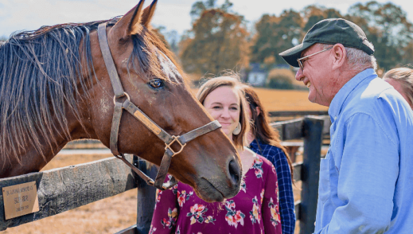 Kentucky Thoroughbred Retirement Farm Cares for Old Friends