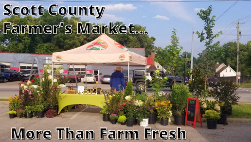 Fresh Produce &amp; More At Scott County Farmer's Market