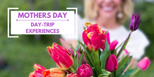 Mother's Day &quot;To-Do's&quot; In Georgetown, KY