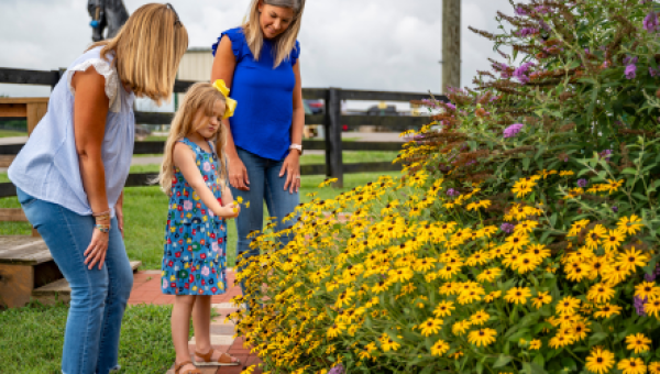 The Best Spring Blooms