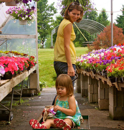 Bi Water Farm Greenhouse flowers