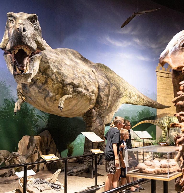 CreationMuseum-2